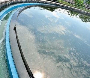 Mantenimiento del entorno de plantas de tratamiento de agua y plantas depuradoras