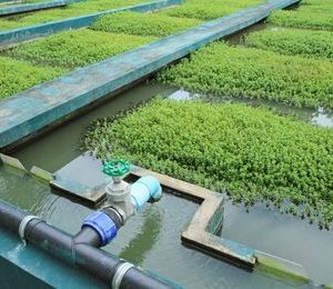 Conceptos de Hidrología. Gestión y usos del agua