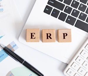 Definición de tipos de datos en sistemas ERP-CRM