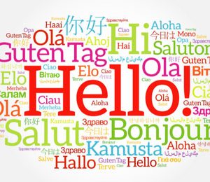 Utilización básica de una lengua extranjera (inglés) en la recepción y relación con el cliente