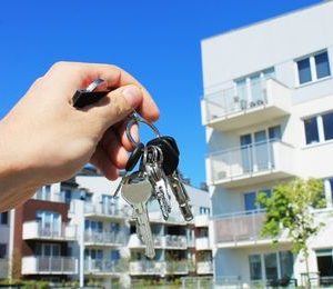 Gestión documental y legal de la intermediación inmobiliaria