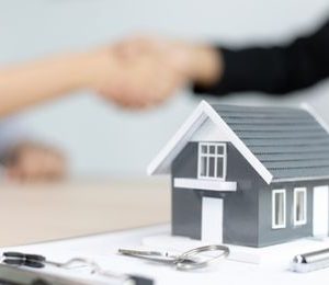 Gestión y coordinación de los canales de distribución de seguros