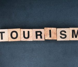 El Turismo y la Estructura del Mercado Turístico