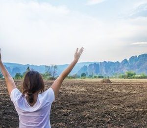 Gestión financiera y fiscal del alojamiento rural