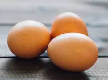 Calidad, recogida y clasificación de los huevos para consumo
