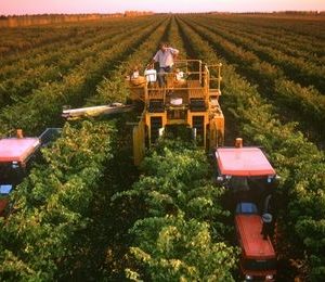 Selección de los equipos de recolección de productos agrarios