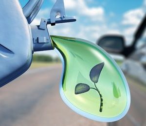 Inventario de puntos de consumo del recurso natural del combustible