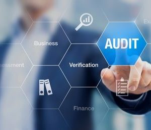 Problemática de la auditoría