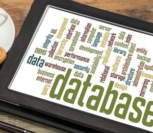 Desarrollo de aplicaciones de sistemas gestores de bases de datos